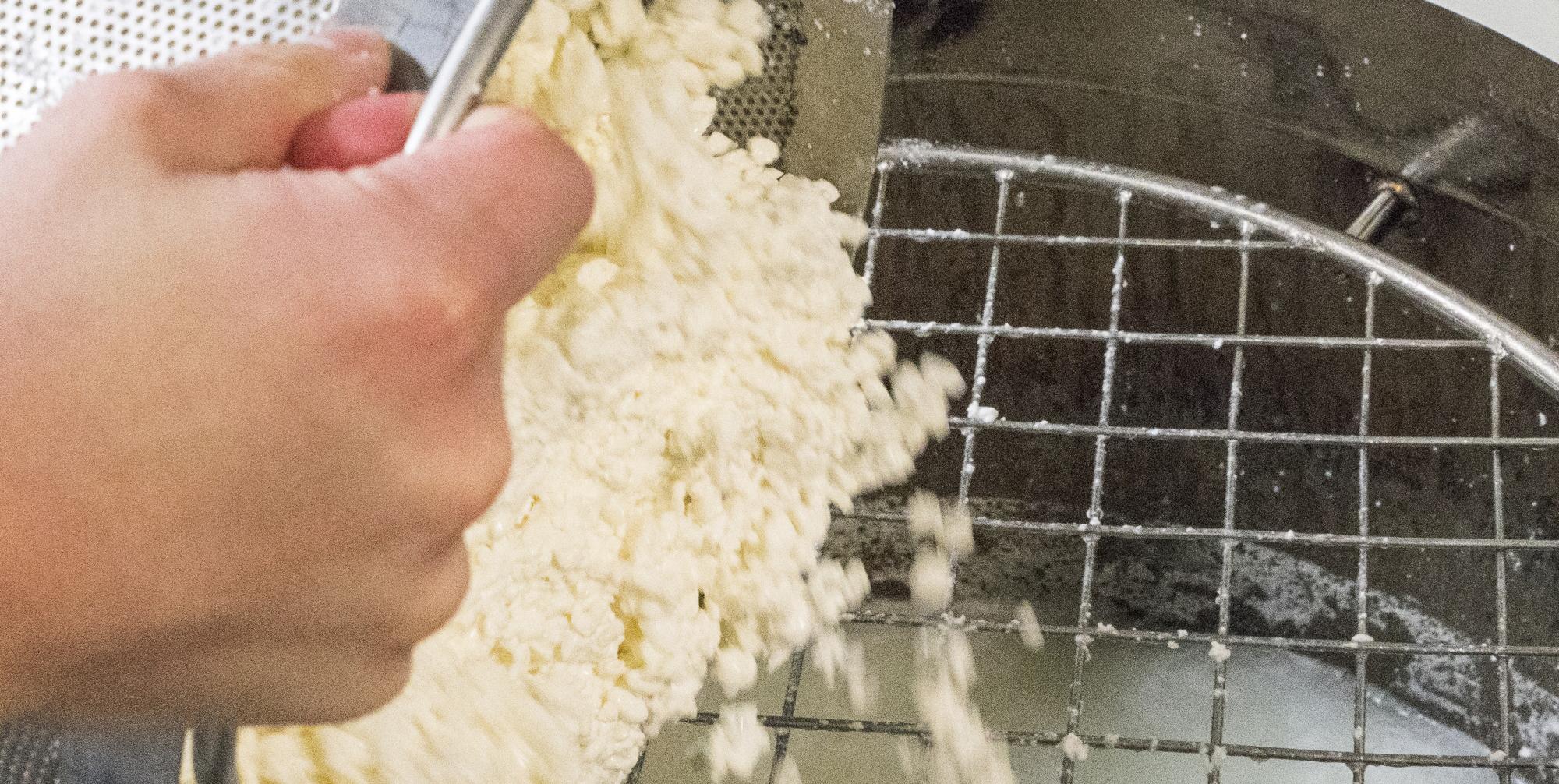 Cheese Making Classifieds, How to Make Cheese